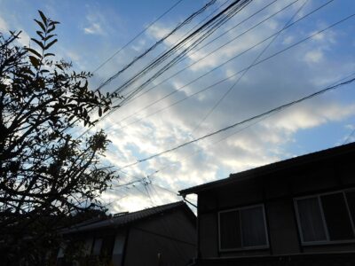くしくも