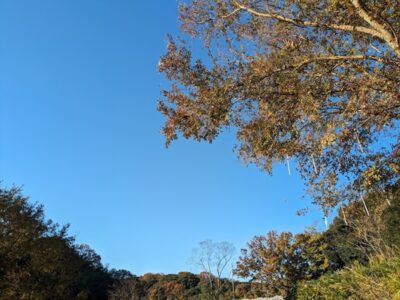 楽しみな5月