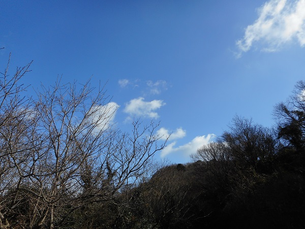 昔はよかった・・？