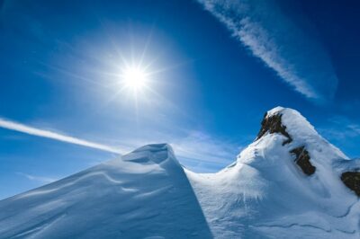 率直に意外