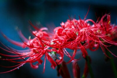 大阪は安くていいところ？