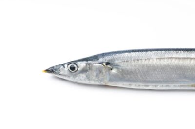 バブル期から上がったもの下がったもの