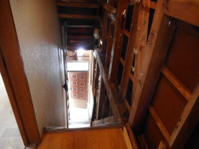 シロアリが発生した家でも高く売れる！？【大阪市港区】老朽化住宅売却の実践ガイド