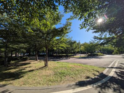 8050と未婚者増加