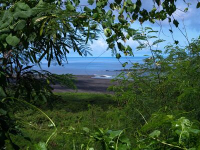 【大阪市内で静かに暮らせる】 都会すぎず田舎すぎない“ちょうどいい街”5選｜住民のリアルな声つき