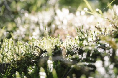 大阪市淀川区で長屋を高く早く売りたい方へ｜多い地域・相場・高く売るコツを徹底解説