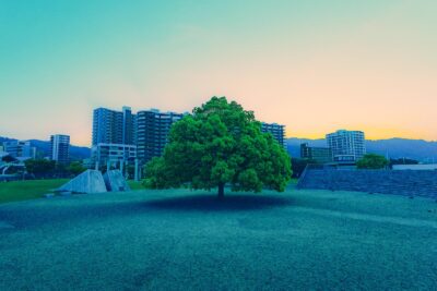 🏡 吹田市・北千里VS江坂どっちが住みやすい？通勤・教育・資産性・環境を徹底比較【2025年最新版】