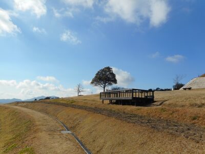 注目カードはいかに！？『結果・感想編』