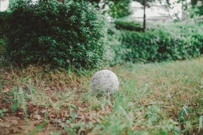 11月はワンワンから！