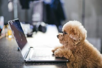 相続した借地上建物を“更地にできない”…でも大丈夫。地主から解体を求められたときの対処法【東大阪市版】