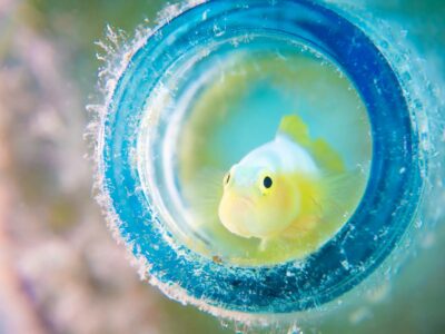 借地の長屋を相続された方へ・売却に関して弊社が思う事