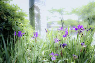 家を売る価格設定とタイミング