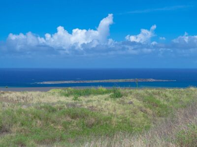 2026年3月スタート！3か月後には！？