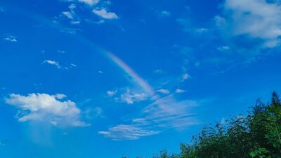 春とはいえ、世の中は物騒？