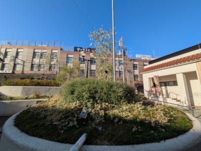 取得費にあたる売買契約書を紛失したけど・・