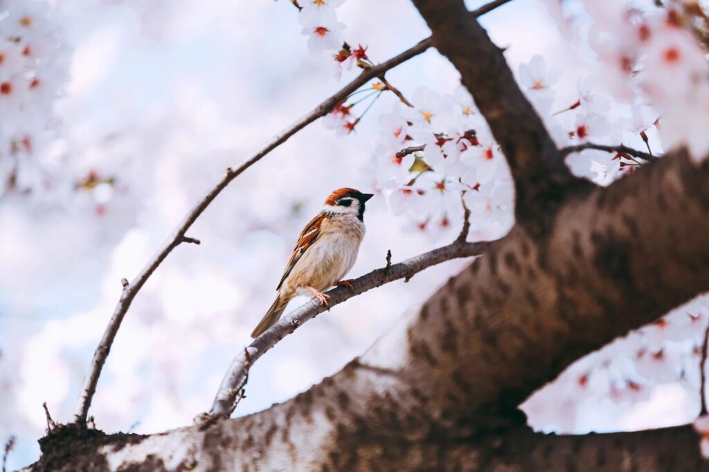 2026年春　金利の上昇を実感！？