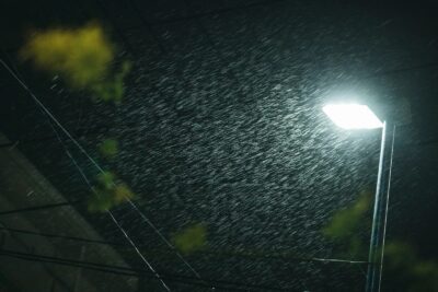 雨漏りやシロアリで気をつける事は何？