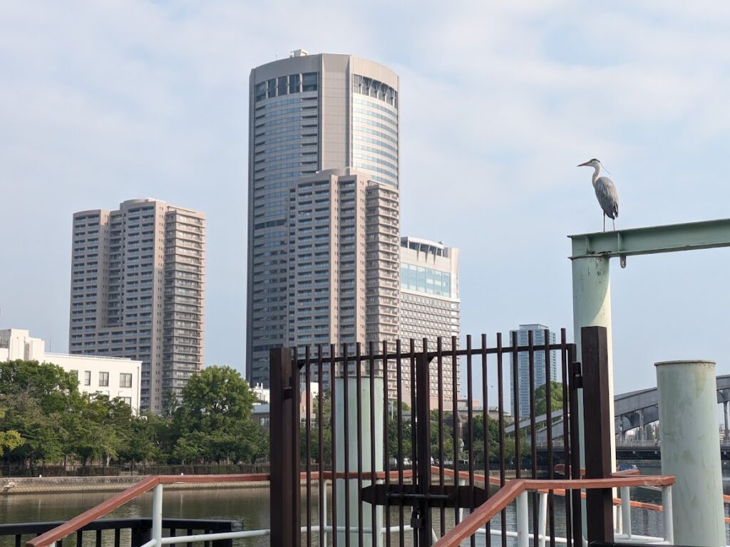 中古マンションの売れ行きが鈍化！？